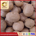 Hot Sales New Crop Walnut in Shell